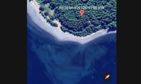 „Google Maps“ rastas kraupus radinys. „Sukūrė ateiviai“ (Foto)