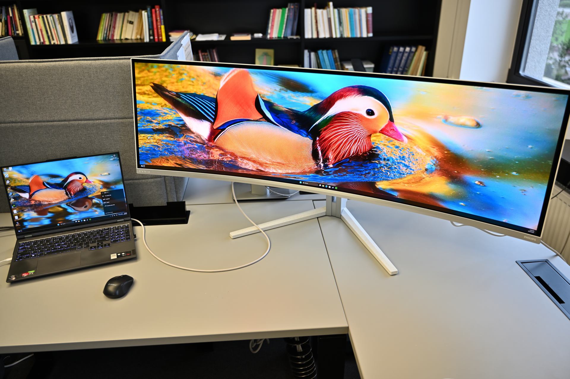 Philips EVNIA 49M2C8900L monitorius
