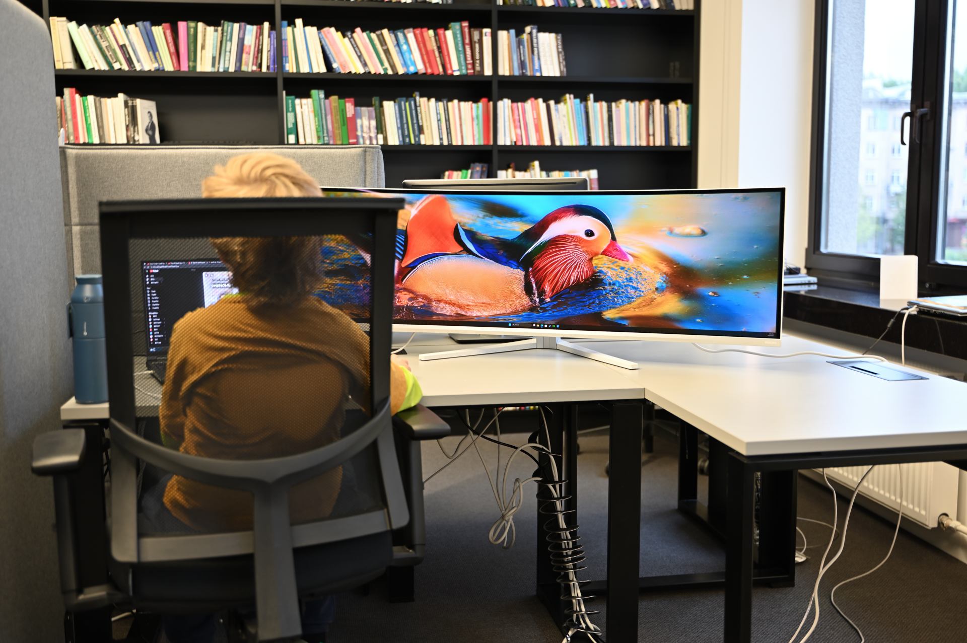 Philips EVNIA 49M2C8900L monitorius