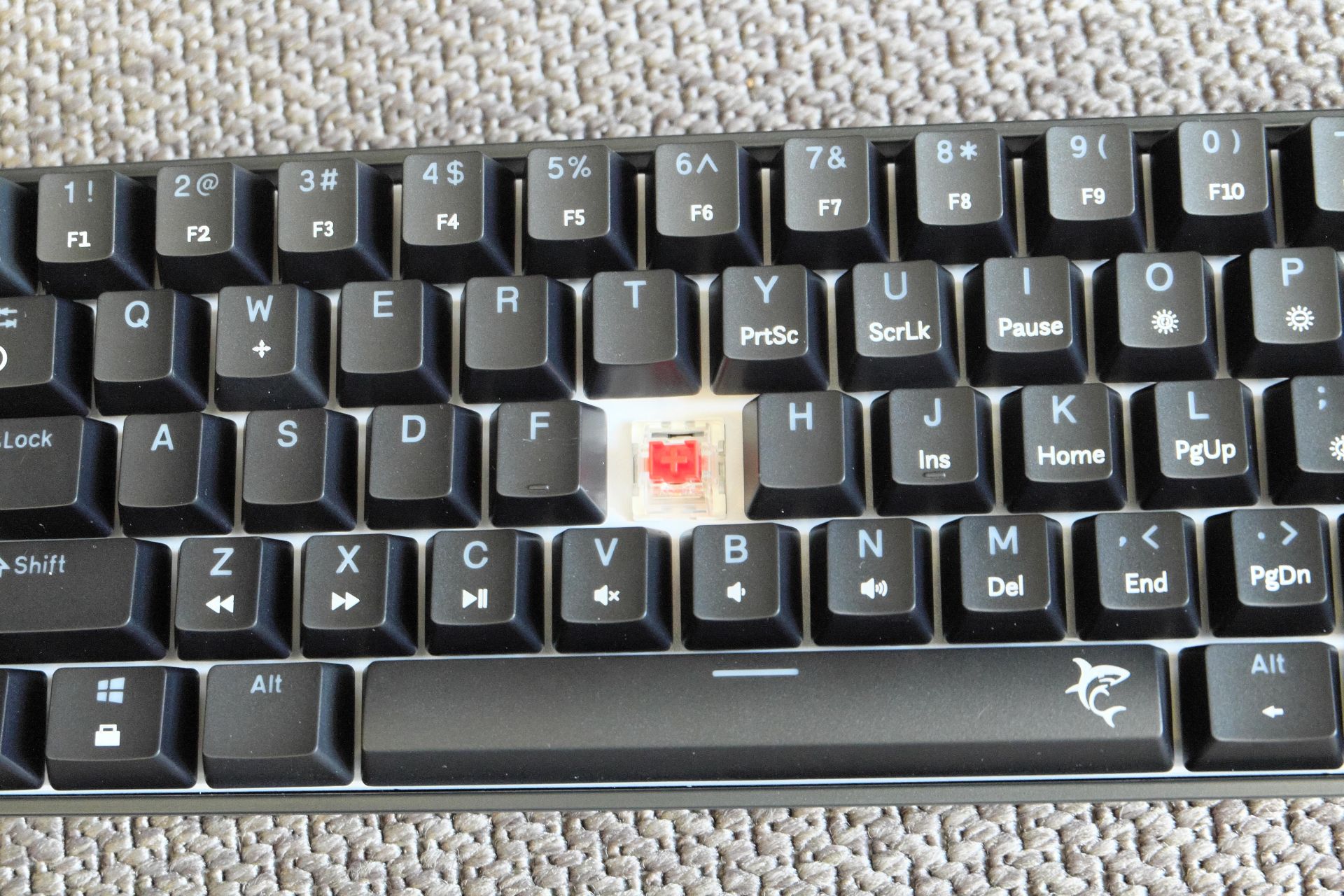 Mechaninė RGB žaidimų klaviatūra White Shark Shinobi 2