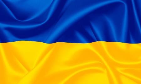 Pardavė Ukrainos vėliavos NFT: tapo didžiausia kriptovaliutomis suteikta parama Ukrainai