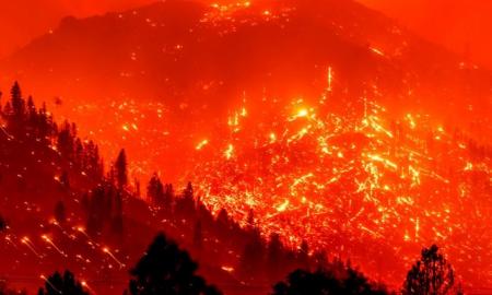 Pasaulio meteorologijos organizacija patvirtino aukščiausią kada nors Arktyje užfiksuotą temperatūrą – tokio alinančio karščio Lietuvoje net nėra buvę (Foto, Video)