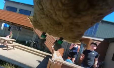 Naujojoje Zelandijoje papūga iš panosės pavogė „GoPro“ kamerą ir nufilmavo savo pabėgimą įspūdinguose kadruose (Video)