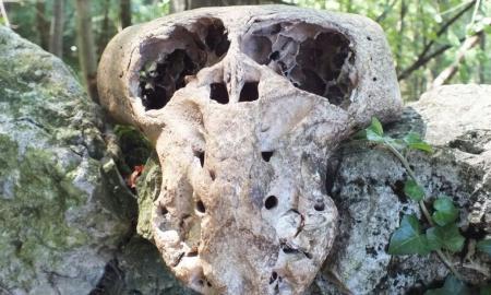 Paslaptingoji buvusių SS narių organizacija – ODESSA: kaip naciai, padedami Raudonojo Kryžiaus ir Vatikano, slapta pabėgo iš pralaiminčios karą Vokietijos (Foto, Video)