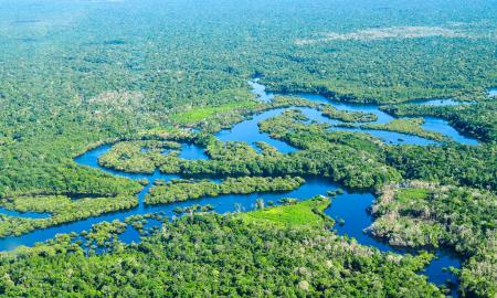 Brazilijos Amazonės atogrąžų miškuose medžių kirtimas pasiekė aukščiausią lygį per 15 metų - kodėl dėl to kalta Jungtinė Karalystė?