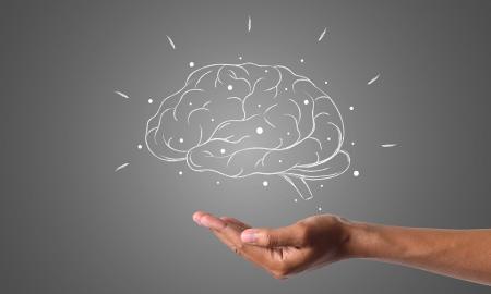 Neuromokslininkas įspėja: žmogaus smegenys mažėja – ar tai reiškia, kad kvailėjame?