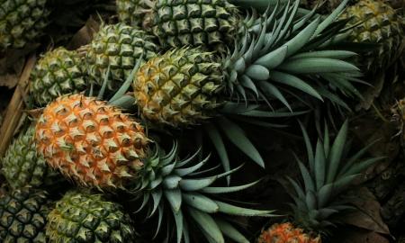 Įdomioji ananaso istorija: tie, kas negalėdavo jo įpirkti, galėdavo išsinuomoti