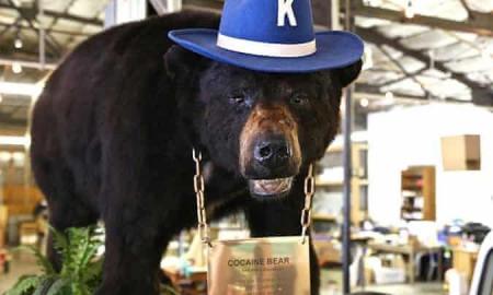 Pablo EskoBear: tikra lokio istorija, kuris suėdė daugiau kaip 32 kg kokaino – žvėries laukė siaubingas galas (Video)