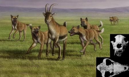 Archeologų radinys Gruzijoje gali perrašyti istoriją: prieš 1,8 mln. metų įvyko žmonijos likimą pakeitęs susitikimas