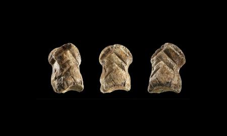 Nepaprastas 51 tūkst. metų amžiaus dirbinys keičia požiūrį į senovinius mūsų giminaičius: neandertaliečiai buvo dar įdomesni nei numanėme
