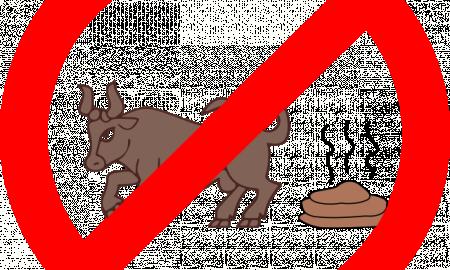 Einšteino efektas – kodėl tikime paistalais, jei manome, kad juos pasakė mokslininkas?