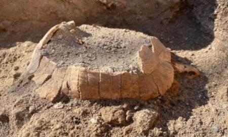 Pompėjoje – įspūdingas, bet liūdnas radinys: archeologai atkasė prieš 2000 metų suakmenėjusią vėžlio patelę, jos pilve – vienintelis kiaušinis (Foto)