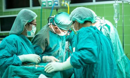 Svarbus žingsnis transplantacijos srityje: žmonėms antrą kartą sėkmingai persodintos kiaulių širdys