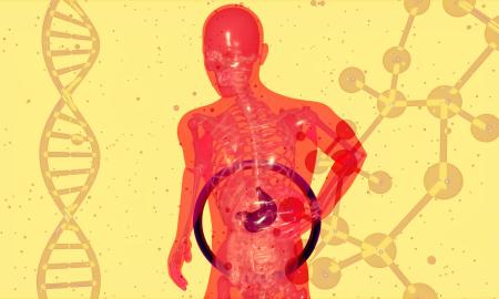 Genetiškai modifikavo žmogaus kepenis, kad jos gamintų mažiau cholesterolio