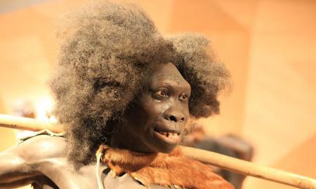 Mokslininkai mano nustatę esminį skirtumą tarp žmonių ir neandertaliečių smegenų