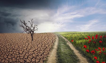 Įvyko didžiausia klimato katastrofa per 500 metų: pasekmes pajus absoliučiai visi