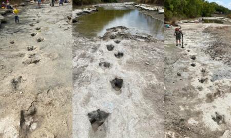 Dėl sausros nusekusi upė atidengė neįtikėtiną radinį – prieš 113 mln. metų praėjusio milžiniško dinozauro pėdsakus (Foto)