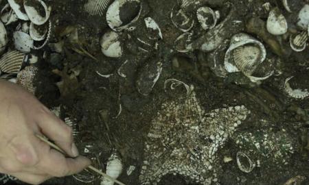 Meksikoje – archeologų radinys, kokio iki šiol nebuvo regėję: tai didžiausia tokio tipo aukojimo dievams vieta (Video)