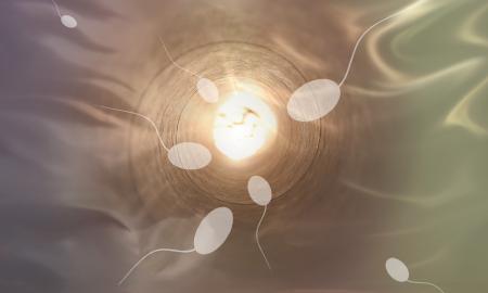 Atskleidė iki šiol nežinotą spermatozoidų savybę: jų elgesys panašus į dviratininkų lenktynėse (Foto)
