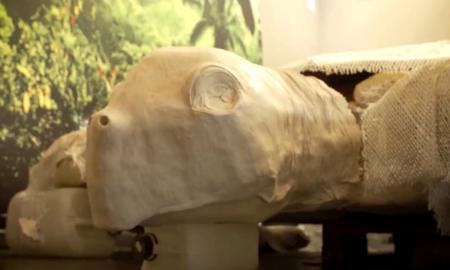 Ispanijoje – pribloškiantis paleontologų radinys: aptiko su dinozaurais gyvenusio vėžlio monstro fosilijas (Foto, Video)
