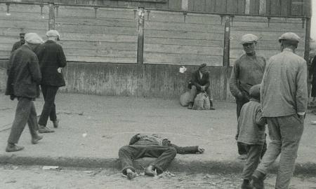 Airijos ir Moldovos parlamentarai pripažino Holodomorą Ukrainos žmonių genocidu (Video)