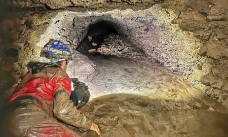 Tai ne tik žmonės! Slaptuose tuneliuose po Romos Koliziejumi aptiko labai neįprastus gladiatorių kovų dalyvius (Foto)