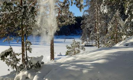 Galinga –40 laipsnių šalčio banga iš Arkties: skelbiamas orų žemėlapis, kas laukia Lietuvos ir visos Eurazijos sausio mėnesį (Žemėlapiai)