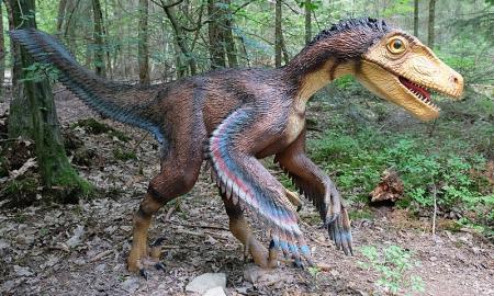 Aptikę 120 mln. metų senumo fosiliją paleontologai išsiaiškino ypatingą evoliucijos sutapimą: ką bendro turi dinozaurai ir šiuolaikiniai paukščiai (Foto, Video)