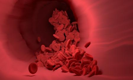 Tyrimas atskleidė, kuri daržovė stabdo cholesterolio gamybą organizme