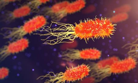 Gali būti nauja revoliucija! Mokslininkai surado, kas žudo net antibiotikams atsparias bakterijas
