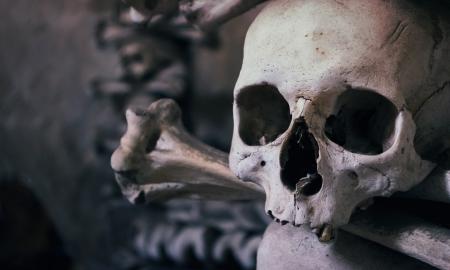 Archeologinis radinys pašiurpino mokslininkus: net baisu įsivaizduoti, ką anuomet išdarinėjo žmonės (Foto)