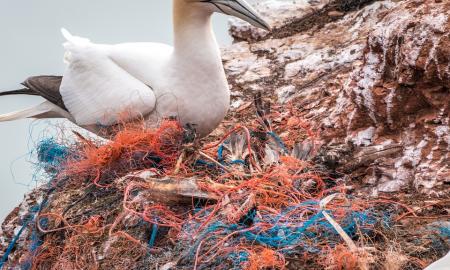 Mokslininkai aprašė pirmąją ligą, kurią sukėlė į organizmą patekęs plastikas