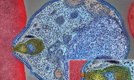 Neįtikėtina: galaktikas kosmoso gelmėse tyrinėjęs mokslininkas rado gudrų būdą įveikti vieną baisiausių ligų pasaulyje