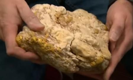 150 tūkst. eurų! Mėgėjišku metalo detektoriumi lauką tyrinėjęs vyras aptiko gyvenimo laimikį (Foto, Video)
