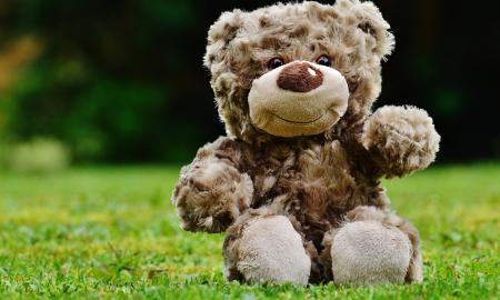 5 reakcijos į konfliktus tipai: kuris jūs – pliušinis meškiukas ar ryklys?