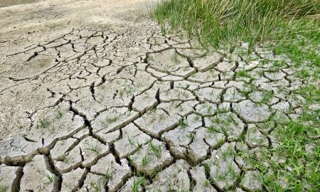 Iki 2100 m. beveik pusė planetos gali patekti į naujas klimato zonas: labiausiai nukentės Europa