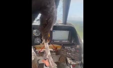 „Kraujuose ir plunksnose“. Pilotas vos išgyveno – skelbiama, kas rėžėsi pro priekinį lėktuvo stiklą (Video)