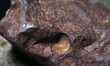 Iš akmens uždirbo dešimtis tūkstančių: iki tol naudojo jį kaip atramą durims (Video)