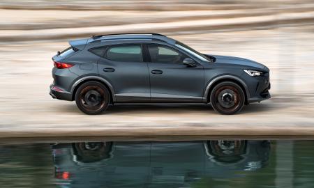 Pasakė, kodėl neverta pirkti automobilio vien tik dėl arklio galių techniniame pase