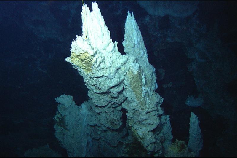 Prarastojo miesto hidroterminis laukas 