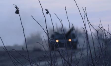 „Krynkus puola tarakonai.“ Kas vyksta (Video)