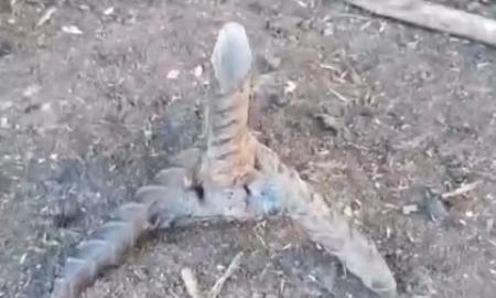 „Išradingas naujas labai seno ginklo panaudojimas.“ Neįtikėtina ukrainiečių taktika. Rusai nebegali apsiginti (Video)