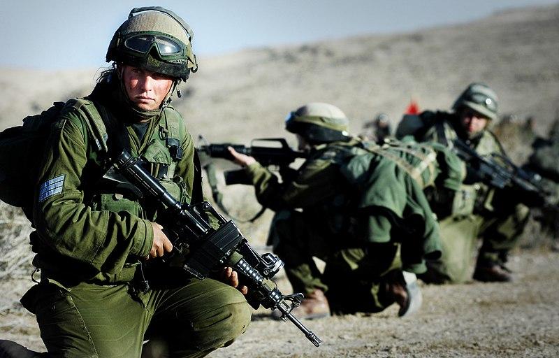 IDF kariai