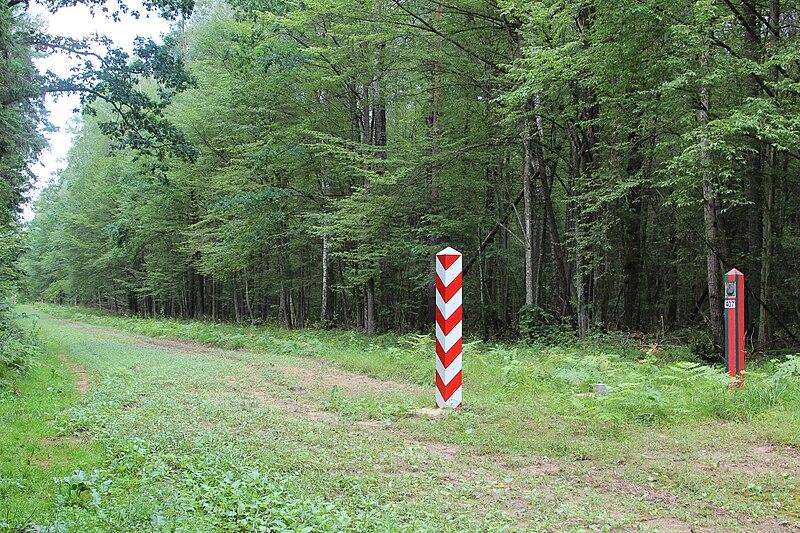 Strzały na granicy polsko-białoruskiej. Ranni żołnierze. co się dzieje