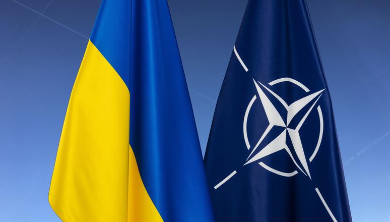 Ukrainos ir NATO vėliavos