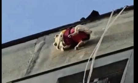 [ŽT] „Vyras ir jo šuo...“ Video plinta kaip virusas