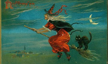 Medžioja visame pasaulyje. Neįtikėtina. Auka gali tapti bet kas