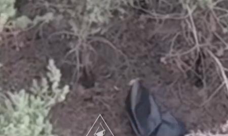 Bėgioja po miškus kaip animaciniame filme. Ką čia sugalvojo rusai (Video)