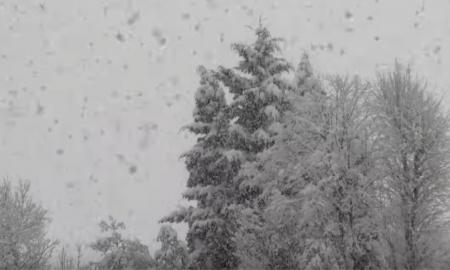 „Atėjo La Niña“