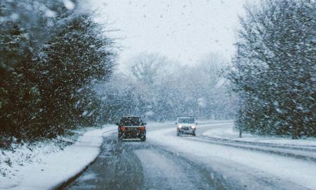 [ŽT] „Gali laužyti medžius, nutraukti elektros linijas.“ Lietuvoje formuojasi netikėtas reiškinys 